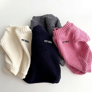 Áo Mặc Trong Họa Tiết Hài Mùa Thu Thú Cưng Bixin Áo Hình Chú Chó Con Mèo Schnauzer Poodle Bomei Bichon Bear