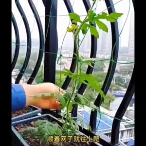 Yo-Fun Garden Green Nylon Mesh Support Climbing Bean Plant Net Planting Fence Climbing Net Support Net
