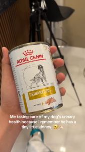 410g Royal Canin Urinary SO Can CANINE DOG Wet Canned URINARY
