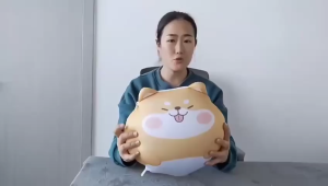 3 in 1 Neck Pillow / Boneka Lembut Serbaguna / Boneka Bantal Leher / Boneka Bantal Kepala / Neck Pillow 3in1