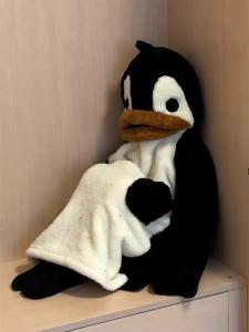 Cute Little Penguin Hooded Pajamas Womens Winter New Arrival Coral Fleece Long Robe Thickened Fleece-Lined Loungewear Suit