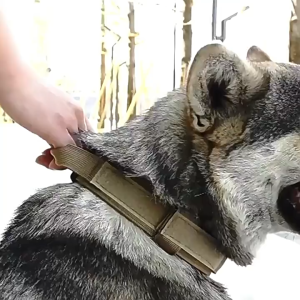 Vòng cổ Chó lớn cao cấp khóa hợp kim siêu chắc chắn (mẫu mới) - Love Pets Shop