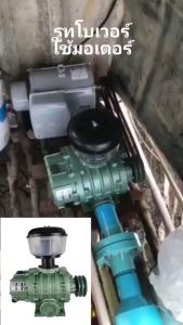 Root Blower รูทโบเววอร์ สำหรับสร้างออกซิเจนในบ่อเพราะเลี้ยงสัตว์น้ำ และลมอัดสำหรับโรงงานอุตสาหกรรมหรือระบบบำบัดน้ำเสีย