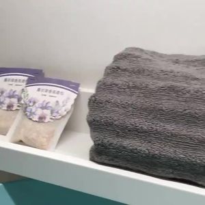 【5 bags】衣櫥 香薰 除臭 Hanging lavender sachet  sachet mildew and insect control  wardrobe fragrance retention  bedroom closet fragrance retention挂薰衣草香包防霉防虫衣柜香味保持卧室衣柜香味保持