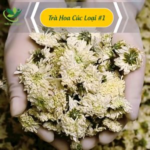 Trà Hoa Cúc Trắng (Bạch Cúc) Ngủ Ngon Ổn định huyết áp Thanh Nhiệt Giải Độc Gói 200gr Thảo Mộc Gama