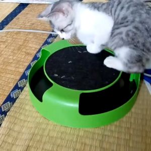 PET Cat Toy Mouse Crazy Training Funny Toy Automatic Pet Kitten Toys Rotating Cat Turntable Educational Play Board