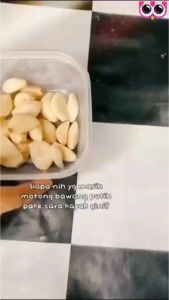 MINI SPEEDY CHOPPER/ BLENDER TARIK MANUAL/PEMOTONG PENCACAH SERBAGUNA SAYUR BUAH DAN DAGING