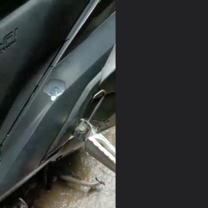 Prestige All Purpose Magic Gatas 1 Gallon – Restores & Shines Faded Surfaces | Long-Lasting Protection Against Aging Cracks & UV Damage | Quick-Dry Non-Greasy Formula | Ideal for Car Interior Leather Plastic Vinyl Furniture & More | Easy to Apply