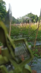 COD Taffware Kincir Air Alat Siram Semprot Tanaman Rotate Sprinkler Spray Nozzle Irigasi Taman 360°