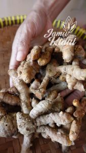 Kunyit - Kunir Segar 250 gr Murah
