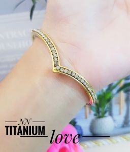 Gelang Fuji Titanium Bangle 81aa