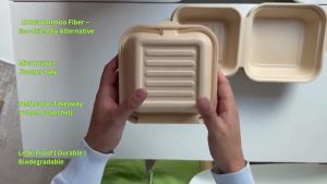 6 Inch Bamboo Clamshell Container 500pcs – Compostable Microwave Safe Leak-Proof Freezer to Oven