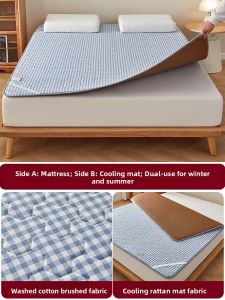 MONLEYTA | Dual-Sided Foldable Seasonal Mattress Pad