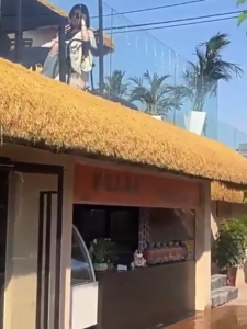 ฟางเทียม หลังคาฟาง 1*1/1*10M หลังคาหญ้าเทียม หญ้าสูง ซึมผ่านที่แข็งแกร่ง กันไฟทนร้อน สําหรับตกแต่งหลังคาร้านค้า คาเฟ่ โรงแรม กันร้อน ลดเสียง มุงหลังคา กัน UV หลังคากันแดด