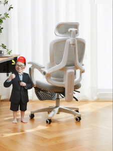 BOJOJAN | Ergonomic Reclinable Office Chair