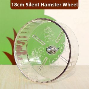 VOA | Silent Large Exercise Wheel