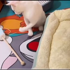 Mainan Kucing Anjing Mainan Gigitan kucing Kelinci Hamster Tali Jerami Bentuk Wortel Color Carrot/Cat toy