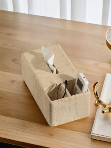 Multifunctional Tissue Box with Remote Control Organizer