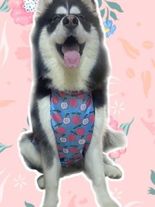 Large Dog Raincoat Outdoor Waterproof Warm Belly Protector for Golden Retriever Dog Clothes Pet Supplies Dog Raincoat