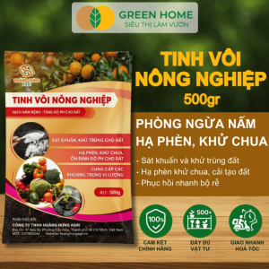 Tinh Vôi Nông Nghiệp GreenHome Túi 500gr Cải Tạo Đất Sạch Nấm Bệnh Bổ Sung Vi Lượng Giúp Lá To