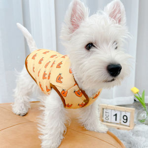 Quần Áo Hình Chú Chó Trang Phục Mùa Đông Chú Chó Teddy Mùa Đông Giữ Ấm Mùa Thu Đông Hình Mèo Động Mèo Trang Phục Mùa Thu Hình Mèo Mùa Đông Thú Cưng Bixiong Chó
