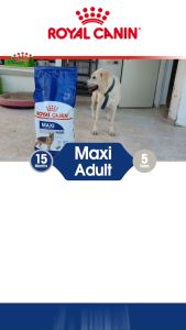 Royal Canin Maxi Adult 15 KG Makanan Anjing Dewasa Dry 15kg dogfood nutrisi anjing kucing