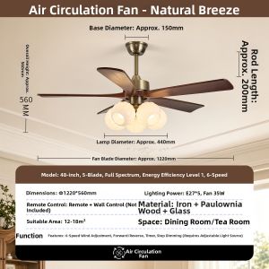 NVC | Vintage Chinese Fan and Light Combination Ceiling Fan