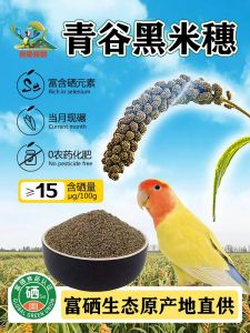 Natural Black Millet Seed Snack for Parrots Pearl Birds Tiger Skin Peacock Pea Cock Cage Feeding Food with Shell Pet Supplies