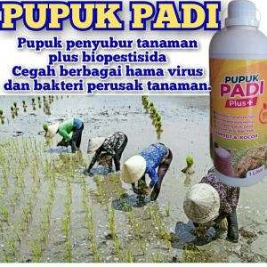 Pupuk Padi Pupuk Cair Semprot Penyubur Tanah Nutrisi Plus Biopestisida Hama Dari Bibit Hingga Panen