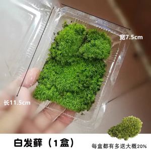 Wilkang Mini9pro Clip Lamp Magnetic Suction Lamp Full Spectrum Water Plant Lamp Landscape Moss Light Small Cylinder Professional Lamp