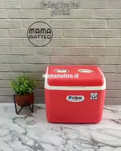 2ccadc5a989048a79de4210de26e4a51.mp4