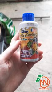 Phân Bón Siêu Dưỡng Nụ Mai Vàng 100ml - Mập Búp - To Hoa - Bông Lâu Tàn