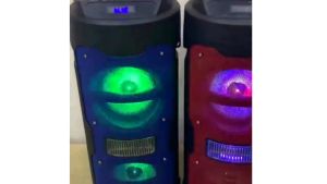 Big Size Wireless Speaker Portable Stereo Karaoke Bluetooth Speaker with Free Microphone SK-1201