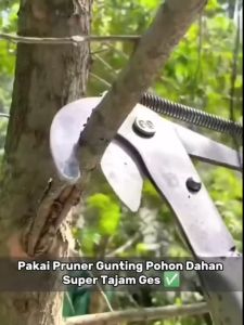 Gunting Pohon Tinggi Alat Potong Dahan Ranting Pohon Tree Pruner Serbaguna