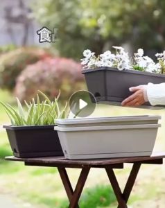 คลินิก กระถางดอกไม้ ยาว ทรง พลาสติก ปลูกผัก คู่เหรียญหมาย 10 ราคา 80 บาท