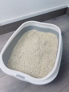 Xẻng xúc cát lọc cát vệ sinh cho Mèo bằng inox (mẫu mới) - Love Pets Shop