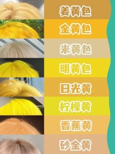 โล่ห์ย้อมผมสีทองเหลืองสำหรับผู้ชาย สีผมที่เป็นที่นิยม สีผมสีทองเหลือง สีผมสีขาว สีผมสีเหลืองมะนาว เครื่องมือดูแลผม