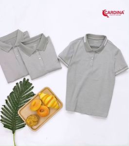 Áo Polo Trẻ Em CARDINA Chất Cotton CVC Cao Cấp Cổ Bẻ Cộc Tay Thoáng Mát 3APK01