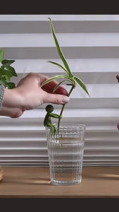 3Pcs Cute Green Man Plant Stand Plastic Plant Support Pile Greenhouse Arrangement Fixed Rod Indoor Flower Plant Vine Climbing Bracket