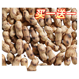 Hand-Cooked Original Flavor Peanuts Iron Pot Stove Top Snack Xiyunxiang Farmhouse Charcoal Fire Roasted with Shell Nuts