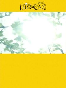 Penghantaran dari China [2025] Lampin Nipis Kucing Nifei Wormwood Mencegah Ruam Lampin Lampin Bayi Seluar Tarik S/M/L/XL/XXL3.8