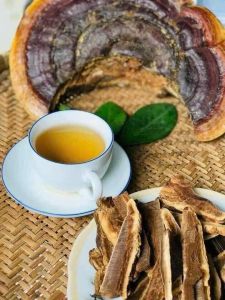 Nấm linh chi rừngnấm hồng chi vua thải độcmát ganhỗ trợ tiểu đường mỡ máu mỡ gan