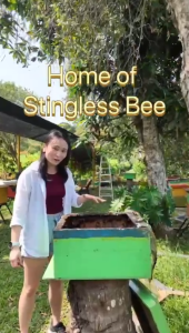 Stingless Bee Honey (Mountain) 520gm