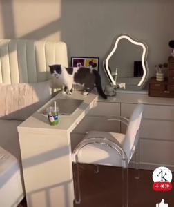 โต๊ะเครื่องแป้ง พร้อมเก้าอี้ โต๊ะแต่งหน้า ปรับความยาวได้ ปรับทิศทางได้ 360° ลิ้นชักเก็บของ แข็งแรง พื้นที่ใช้งานกว้าง เก็บของเป็นระเบียบ ดีไซน์มินิมอล