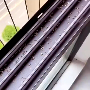 Cleaning Gel Jelly Car Clean Keyboard Dust Cleaning Compound Reusable Slimy Gel