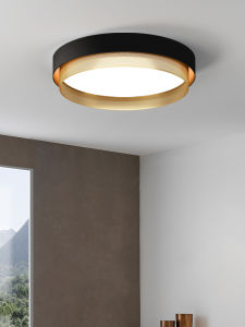 Modern Black Ceiling Light for Bedroom Study Dining Room Minimalist Creative Luxury Absorption Top Light Italian Style Iron Art