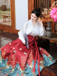 Original Ming Dynasty Chinese Style Hanfu Set Yellow Crane Tower Ancient National Style Autumn Winter Horse Tail Skirt
