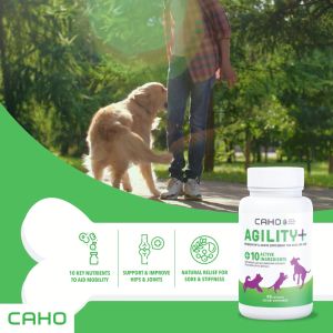 CAHO Agility+ BDD 31.07.2024