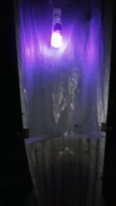 หลอดไฟแบล็คไลท์ ไฟแมงดา หลอดไฟล่อแมลง 85วัตต์ 200วัตต์ 45วัตต์ หลอดแมลง แสงสีม่วง black light 45W 85W 200W (ไฟบ้าน 220V )