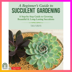 Succulent Gardening Beginner’s Ebook - 96 Pages